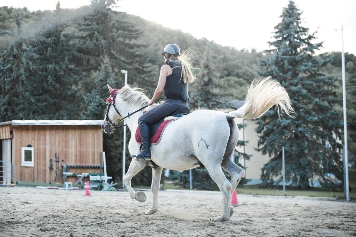 Riding school